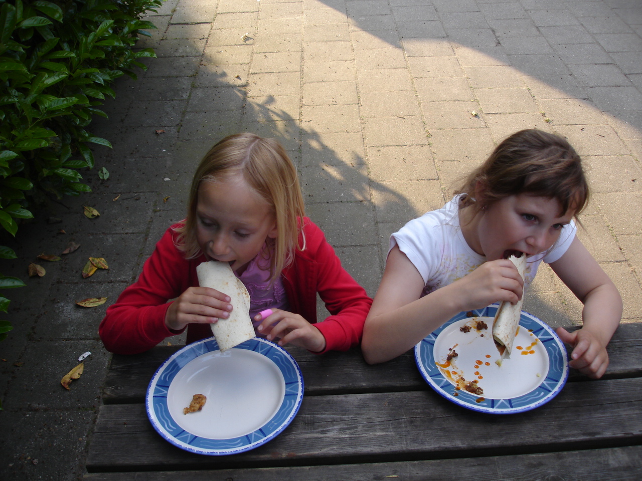 HWK 2009 109.jpg